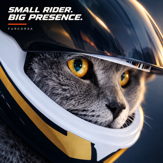 Pet Motorcycle Helmet with Flip-Up Visor